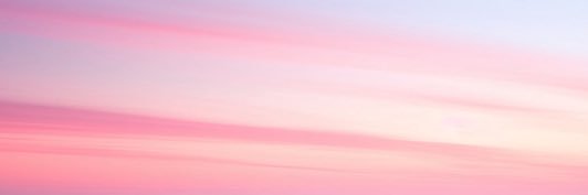 Kate's banner