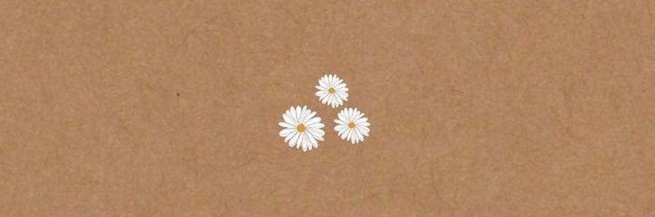 cheska (flopbot era) 🎁's banner