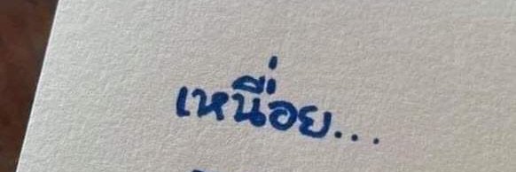 เด็กผู้หญิงตัวเล็ก🩵's banner