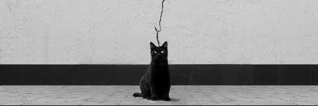 Victorino 😺's banner