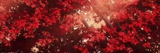 ✩ ִ ࣪ (⁠☆⁠▽⁠☆⁠) 𖥔 ࣪ ˖ ꒱'s banner