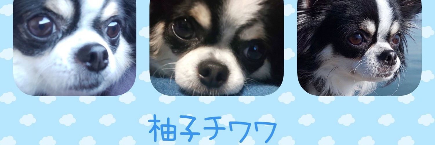 柚子's banner