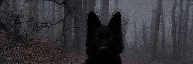 salem ִ ࣪𖤐.ᐟ's banner