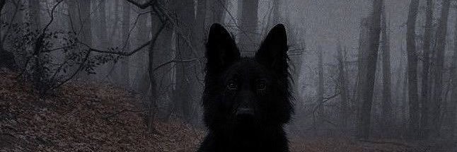 salem ִ ࣪𖤐.ᐟ's banner