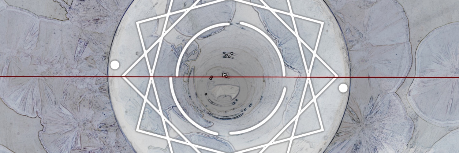 ていぬ's banner