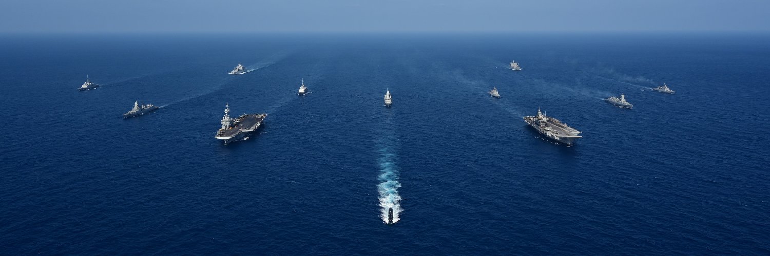 French Carrier Strike Group's banner