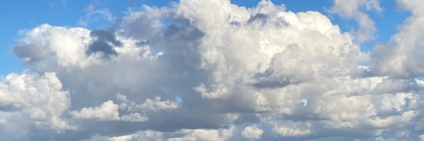 may's banner