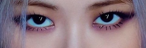 -yo's banner