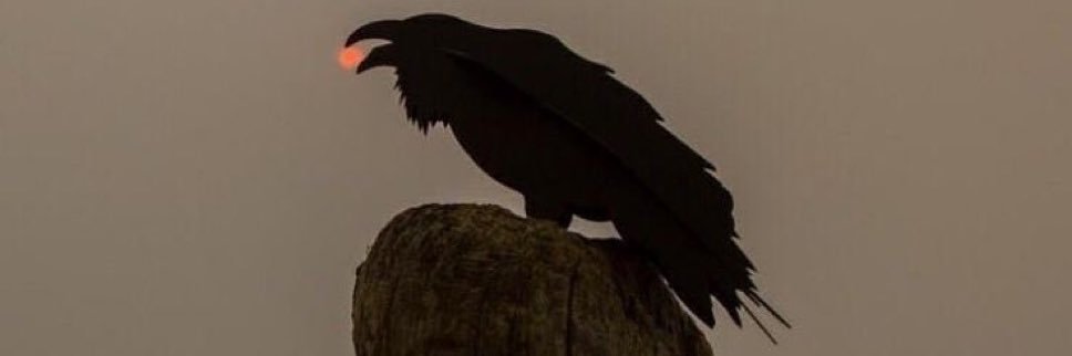 Raven's banner