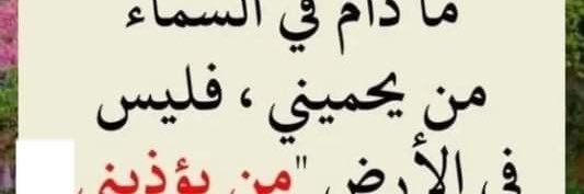 أبوفيصل's banner