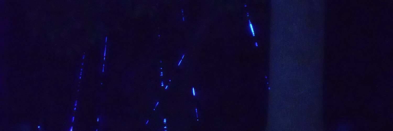 伶緒 (ଳ?)'s banner
