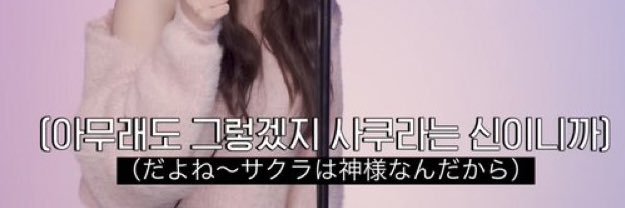 ボンゴレビ・アンコ's banner