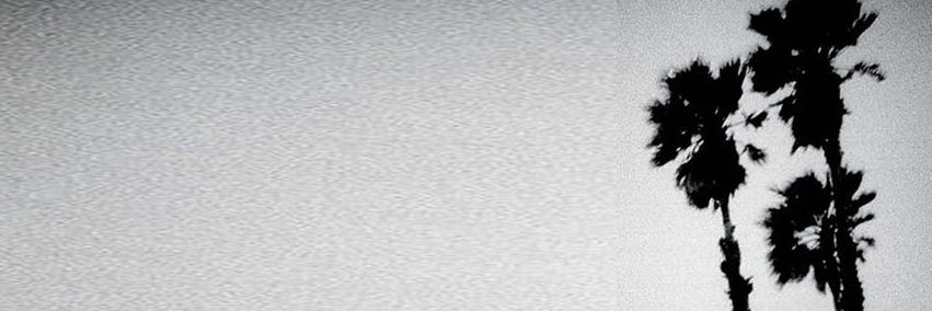 Matt Sebastian's banner