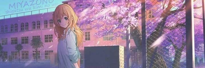 Ava's banner