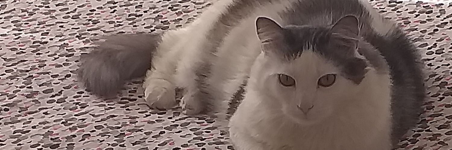 Nancy 73's banner