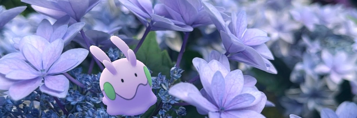 ましろ︎︎ 🐳's banner