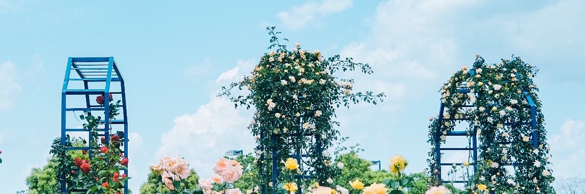 Quỳnh's banner