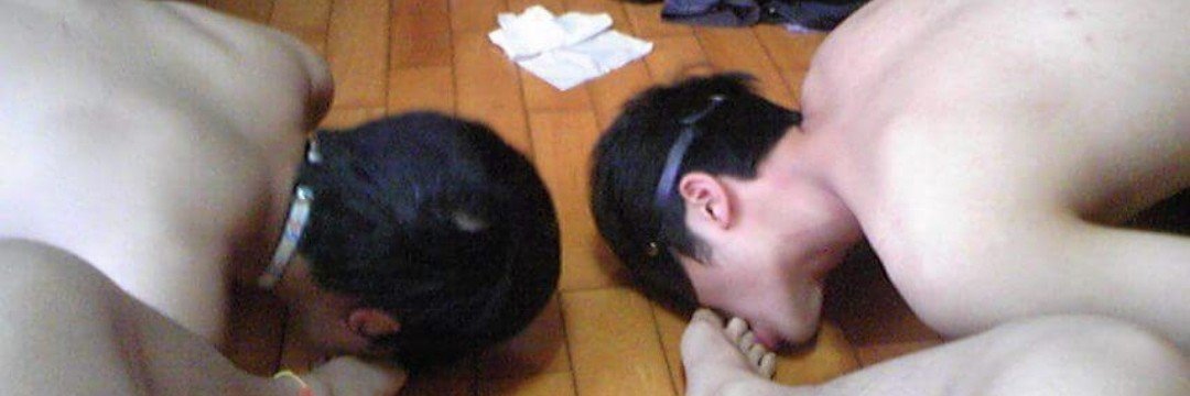 中壢蛋主's banner