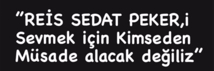 Enes Cüneyd Özkaya's banner