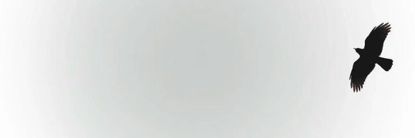 林阳's banner
