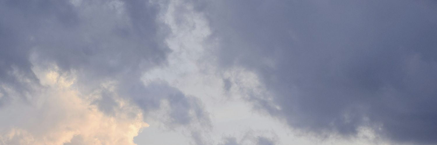 Zel'Ra ☁️'s banner