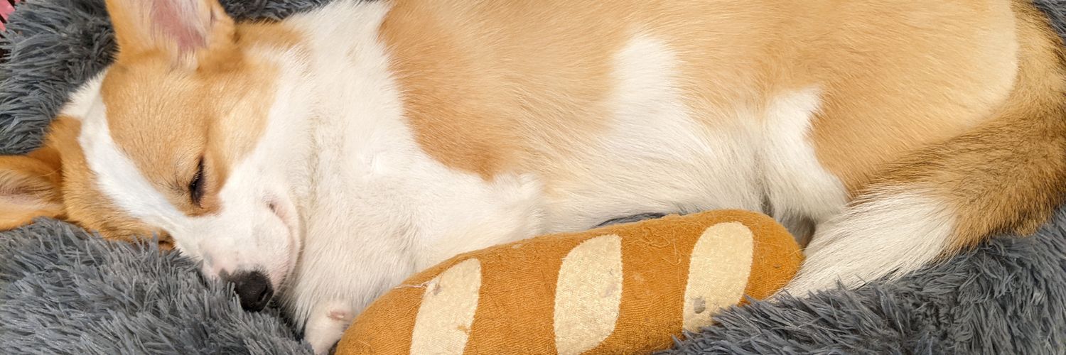 るんちゃん's banner