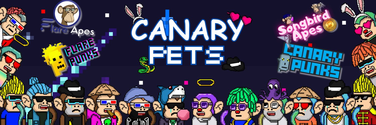 Canary Punks ✨☀️'s banner