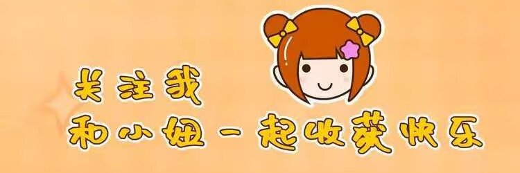 红杏爱出墙's banner