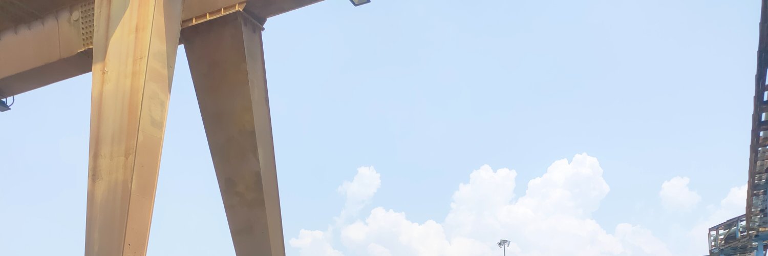 _P_zg's banner
