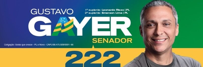 Gustavo Gayer🟩🟨🟦's banner