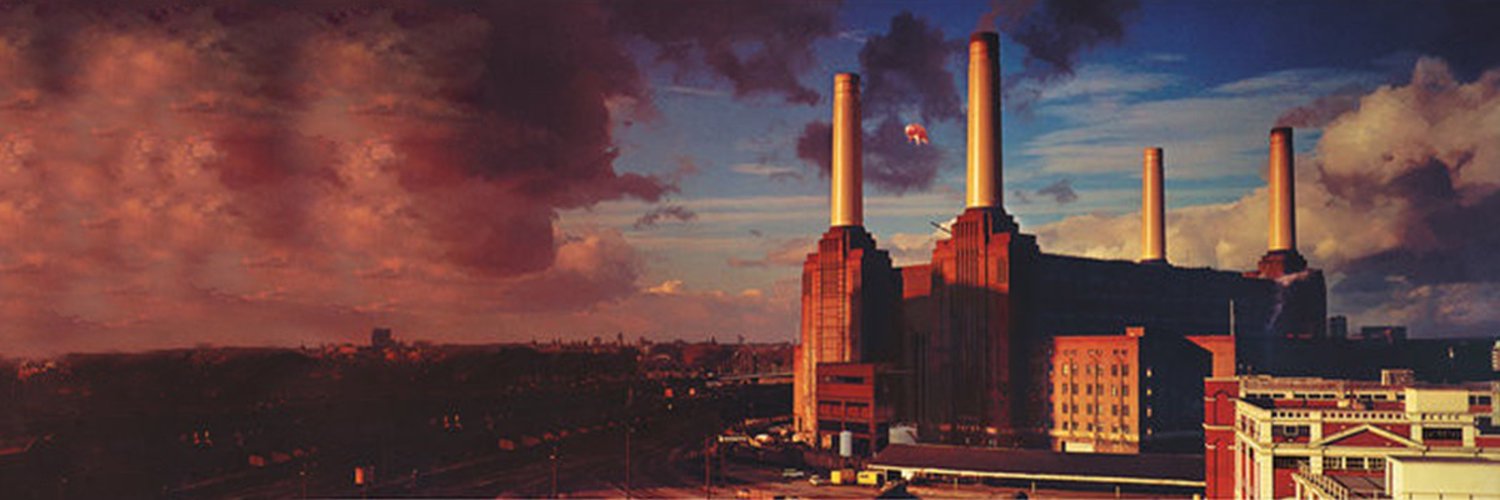 𝐏𝐢𝐨𝐭𝐫 𝐊  🐕's banner