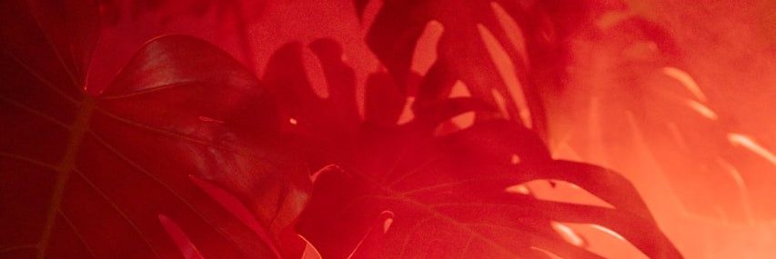 МСМ-щик 🔞's banner