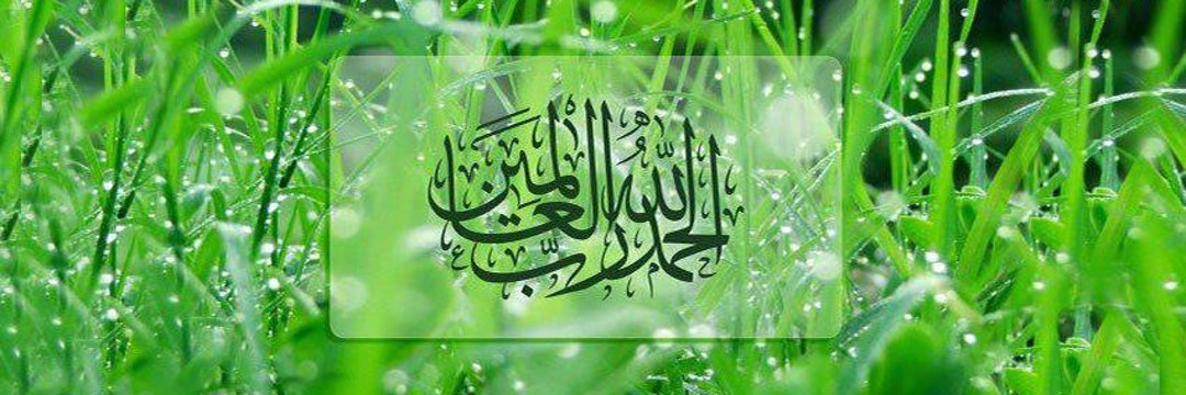 نضال ابوعياد - غزة's banner