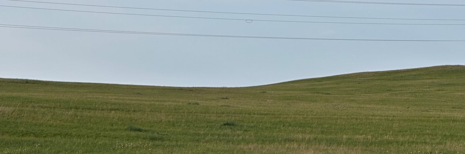 Хорнислав's banner