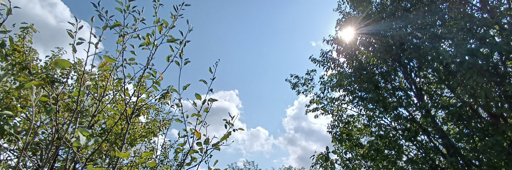 индиго D J СунцеМојеЛокално's banner