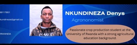 NKUNDINEZA Denys's banner