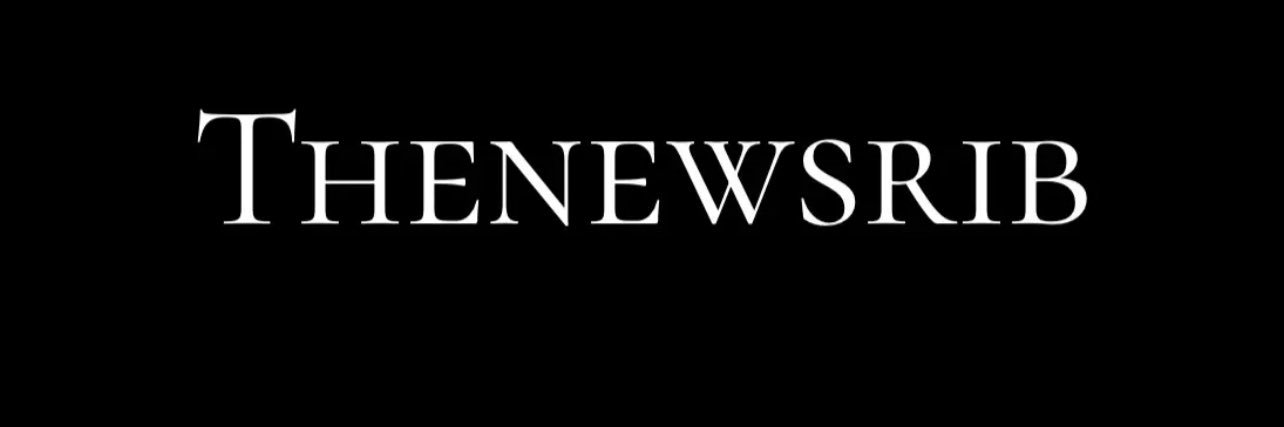 𝐓𝐇𝐄𝐍𝐄𝐖𝐒𝐑𝐈𝐁's banner