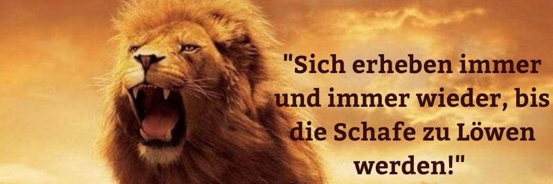 Stefan 🇩🇪💙👈Bleibt Stark💪👉💙🇩🇪's banner