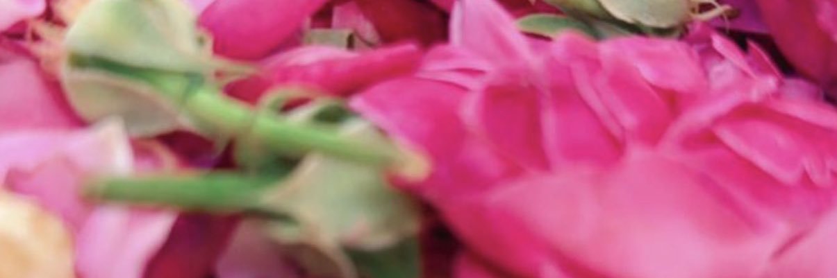 🌹اللهم ارزقنا جنتك🌹's banner