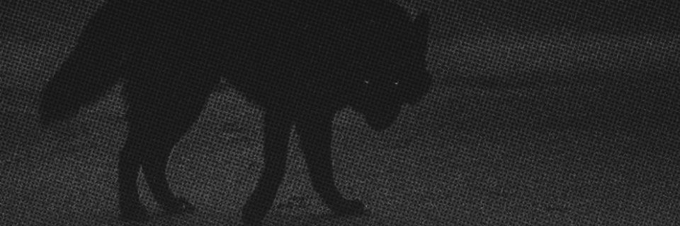 k9_reaper | T.I.A's banner