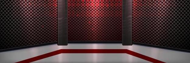 Fights_Worldly's banner