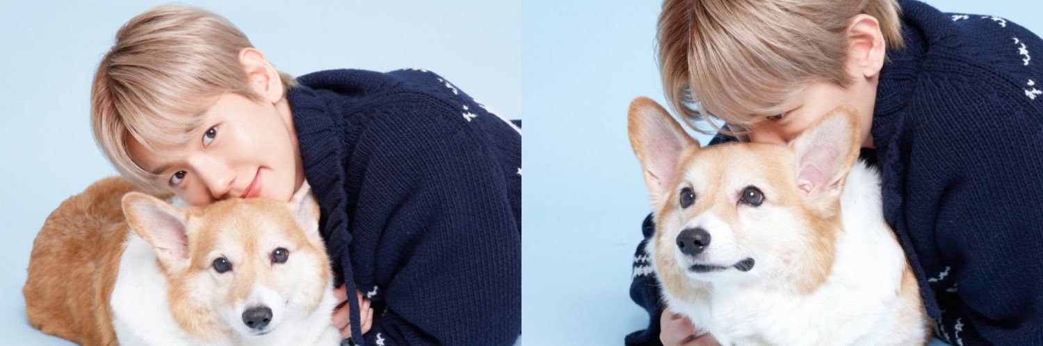 bey ☀︎¨̮'s banner