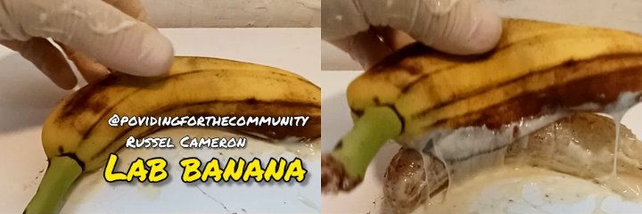 Providingforthecommunity's banner