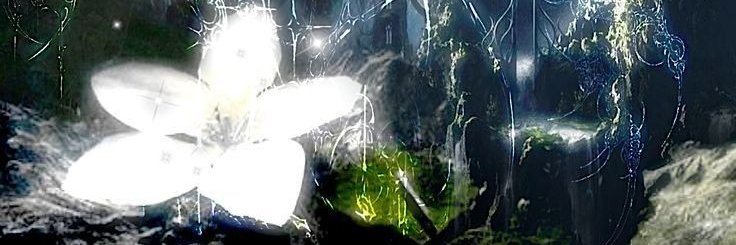 d1ve's banner
