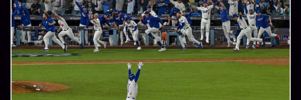 The World Series Champion VP 🐺's banner