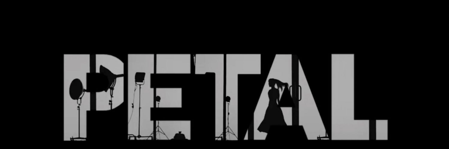 Amanda ꕤ🕸️🦋saw ari ♡'s banner