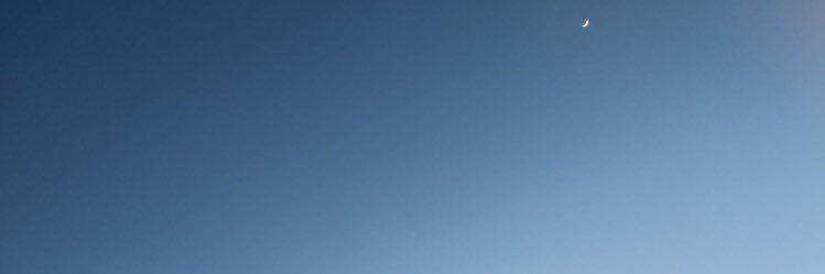 🐻‍❄️'s banner