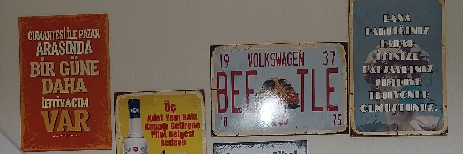 kübra özkacar's banner