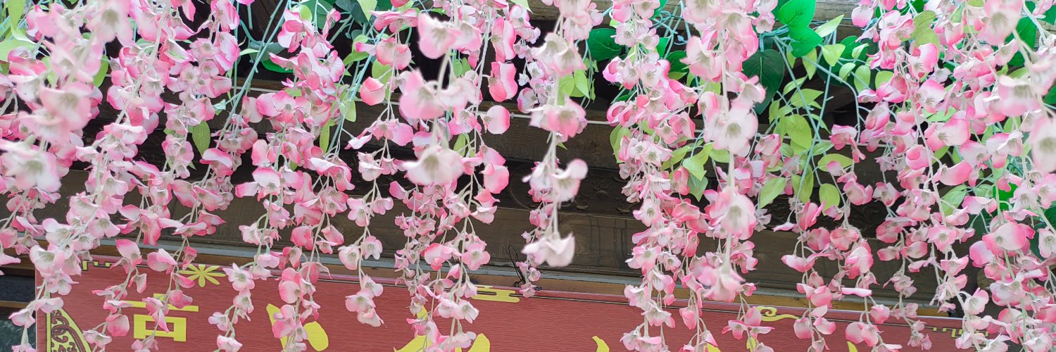 🌸🌸花妮儿🌸🌸's banner