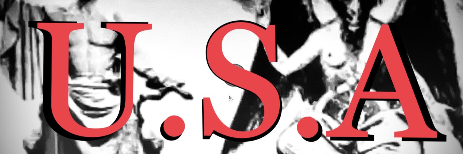 S I N E's banner